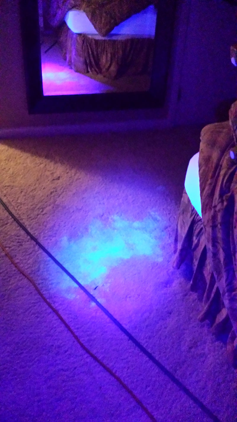 Pet Urine Detection with UV Light