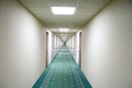 hallway carpet cleaning